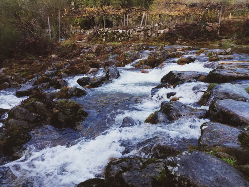 Empoldras sobre o Rio Carcerelha